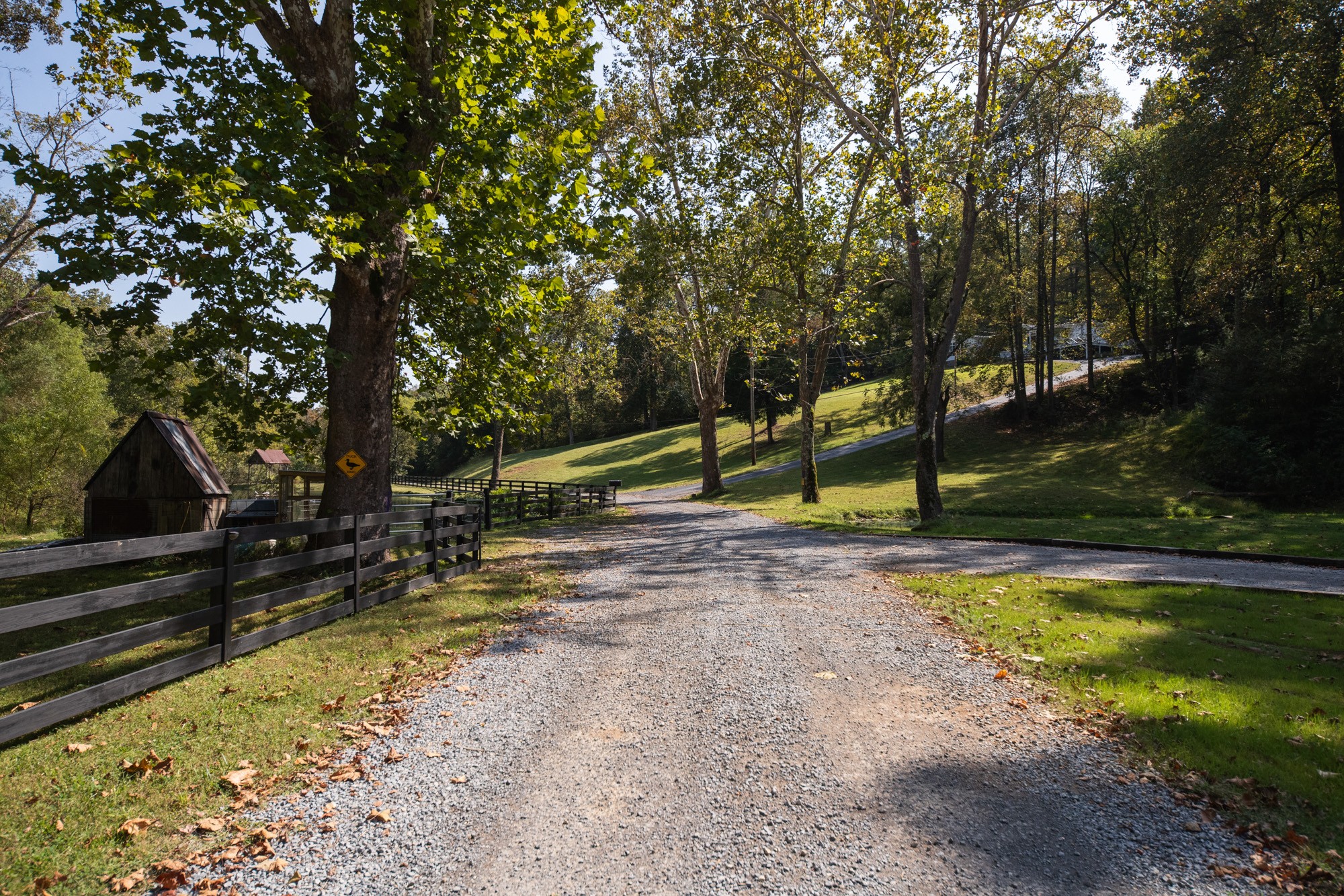 325 Hickman Springs Road Centerville, TN 37033 - Photo 5 of 70 Gallery Image 5