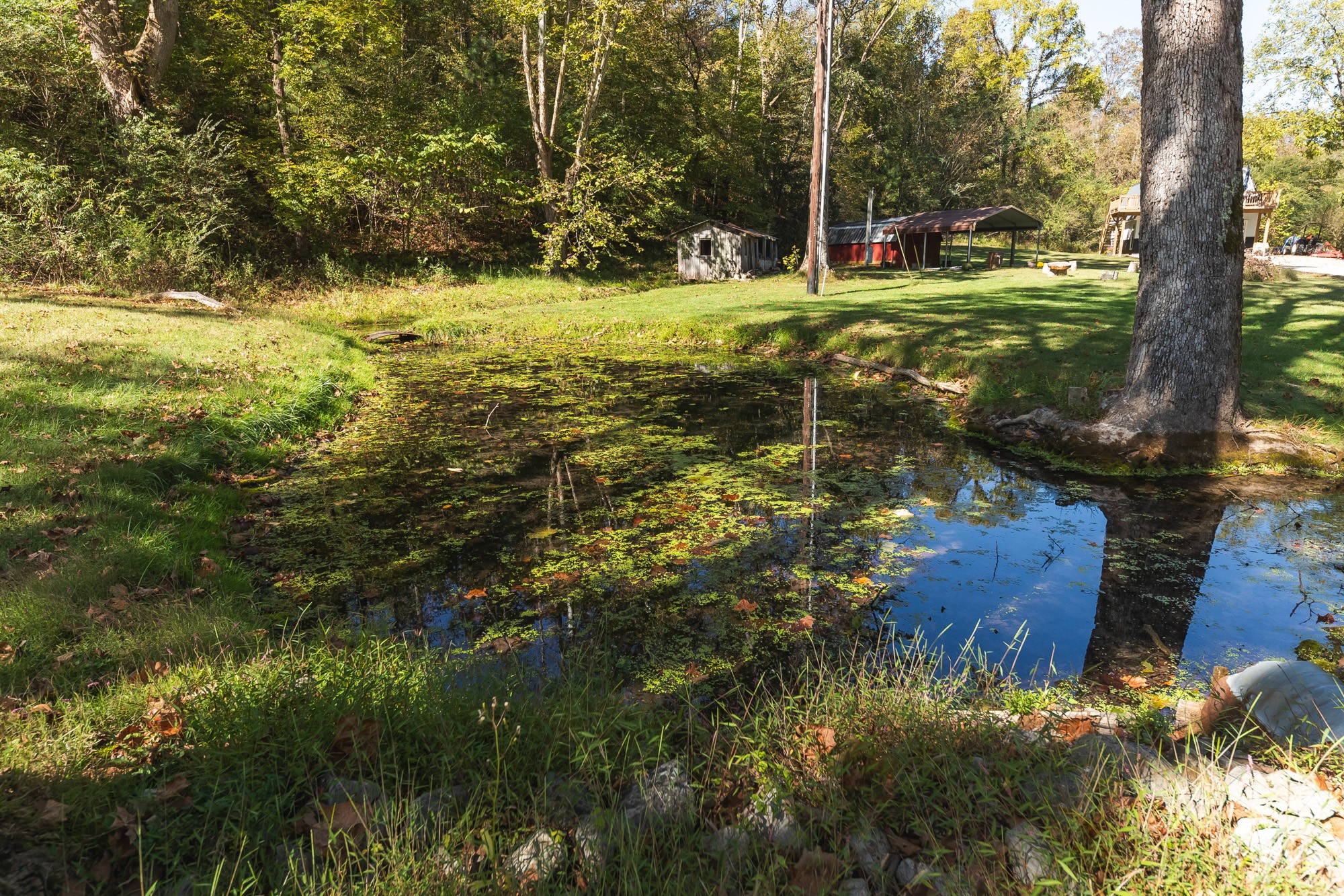 325 Hickman Springs Road Centerville, TN 37033 - Photo 54 of 70 Gallery Image 54