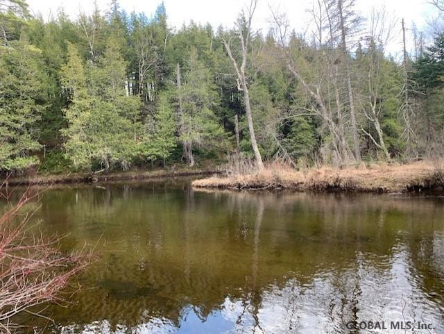 0 Blue Ridge Road North Hudson, NY 12855 - Photo 1 of 13 Photo 1