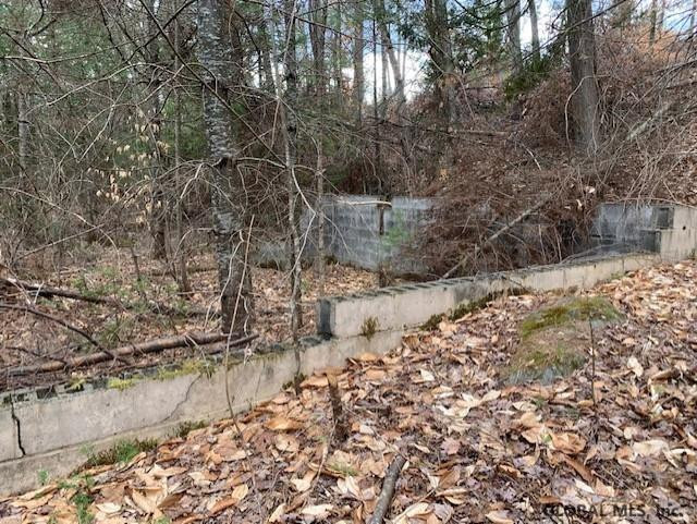 0 Blue Ridge Road North Hudson, NY 12855 - Photo 8 of 13 Photo 8