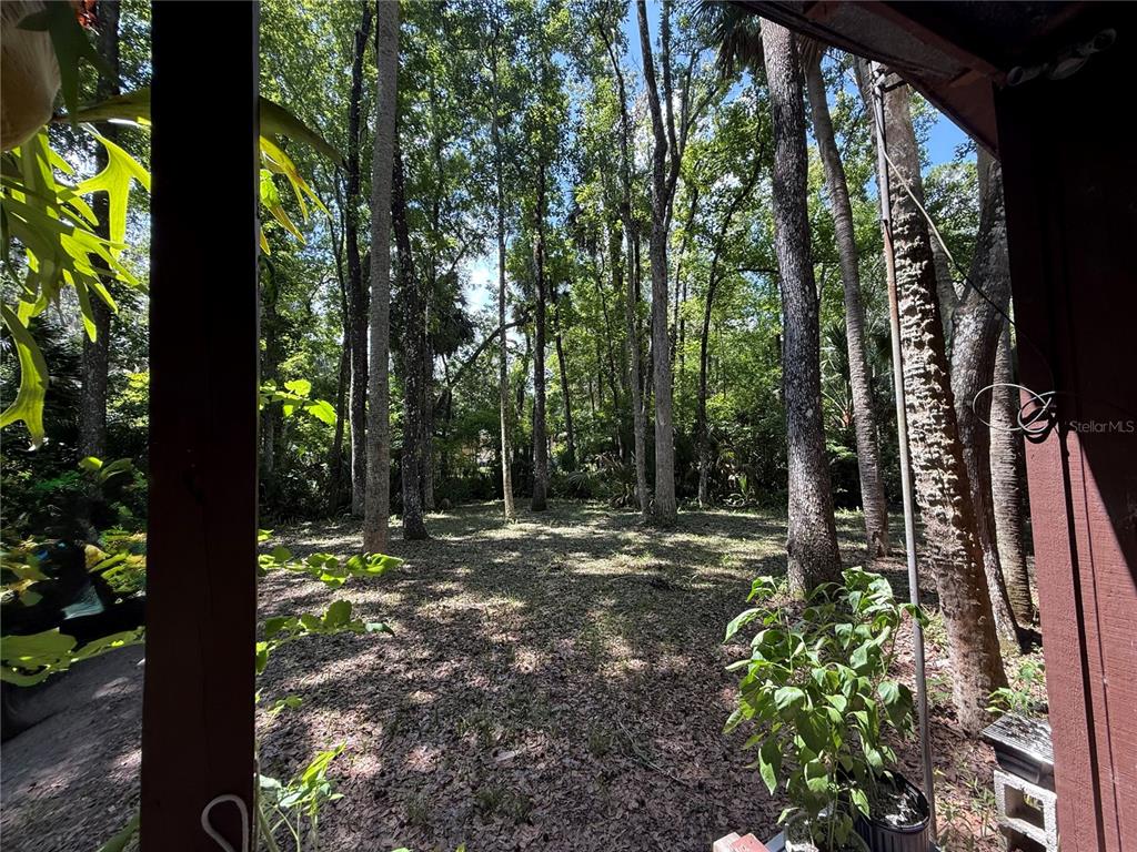 23946 Indigo Road Astor, FL 32102 - Photo 15 of 20