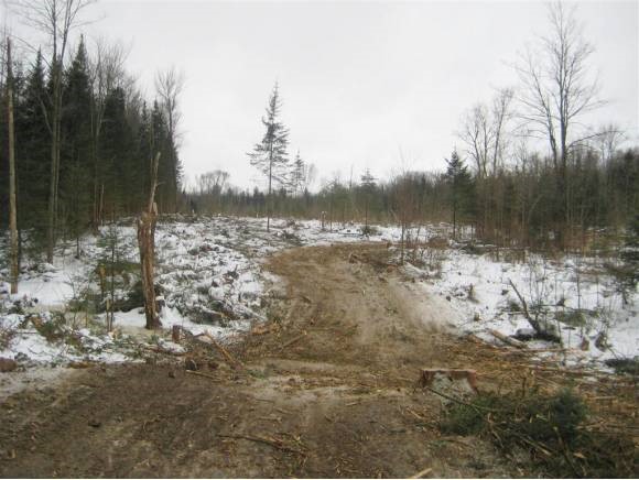 Pepin Road Brownington, VT 05860 - Photo 1 of 1 Gallery Image 1