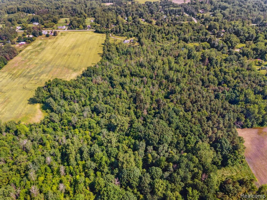 4591 Swaffer Road Millington, MI 48746 - Photo 42 of 52
