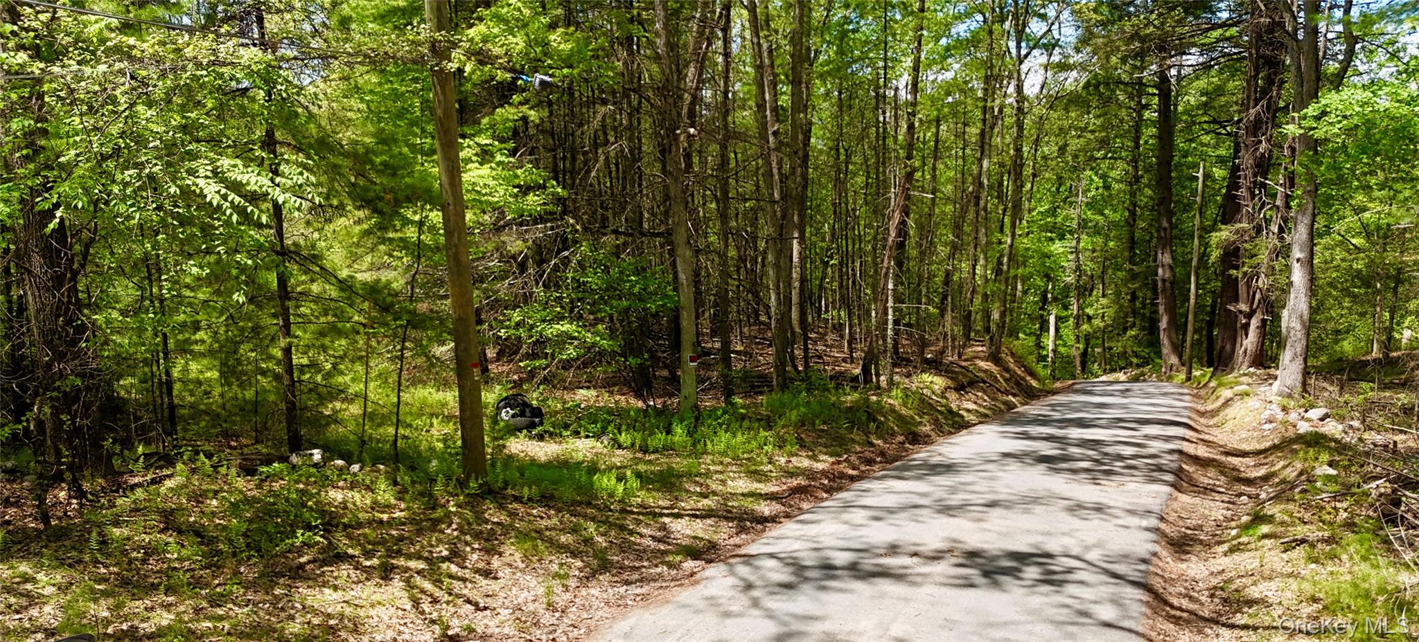 Depot Road Wurtsboro, NY 12790 - Photo 3 of 12 Facing towards 209. Property is on the left.