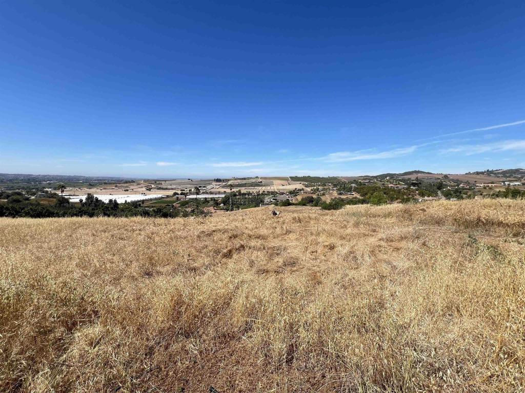 3 Emerald Hill Road Bonsall, CA 92003 - Photo 4 of 20 Gallery Image 4