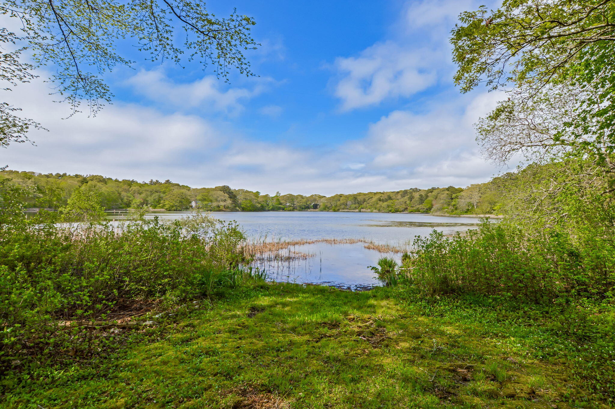 61 Bay Road North Falmouth, MA 02556 - Photo 2 of 45 5-web-or-mls-DSC_0861
