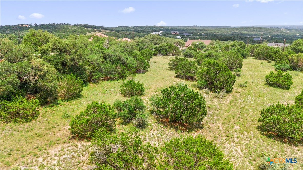 141 Vista View Place Spring Branch, TX 78070 - Photo 20 of 32