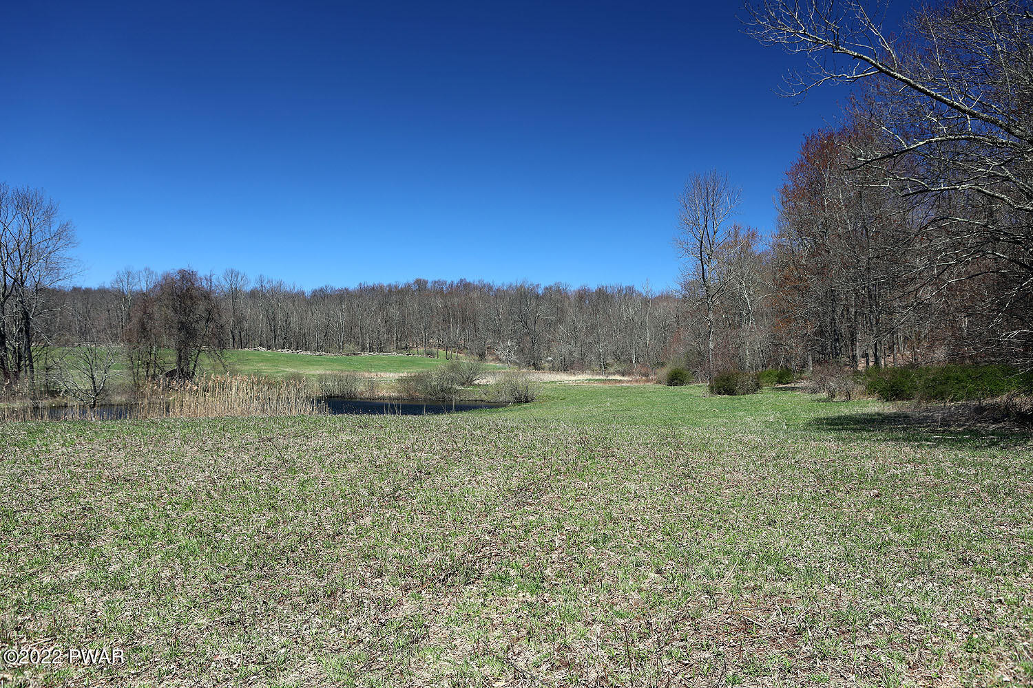 222 Valley Ridge Road Honesdale, PA 18431 - Photo 10 of 23 Many possible homesites