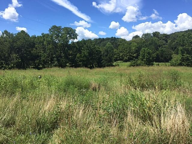 1125 Hargett Road Irvine, KY 40336 - Photo 2 of 3 Photo 2