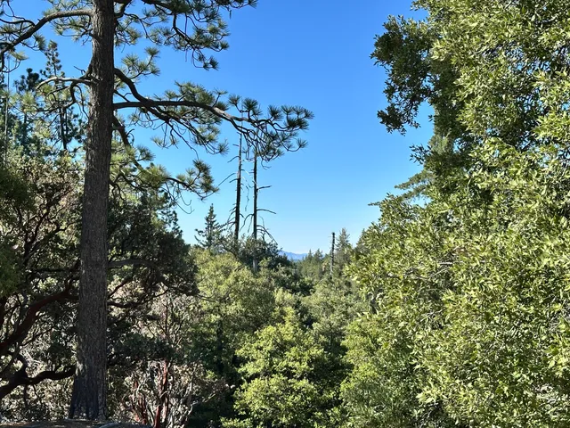 $275,000 | 0 Mountain View Drive, Idyllwild, CA 92549