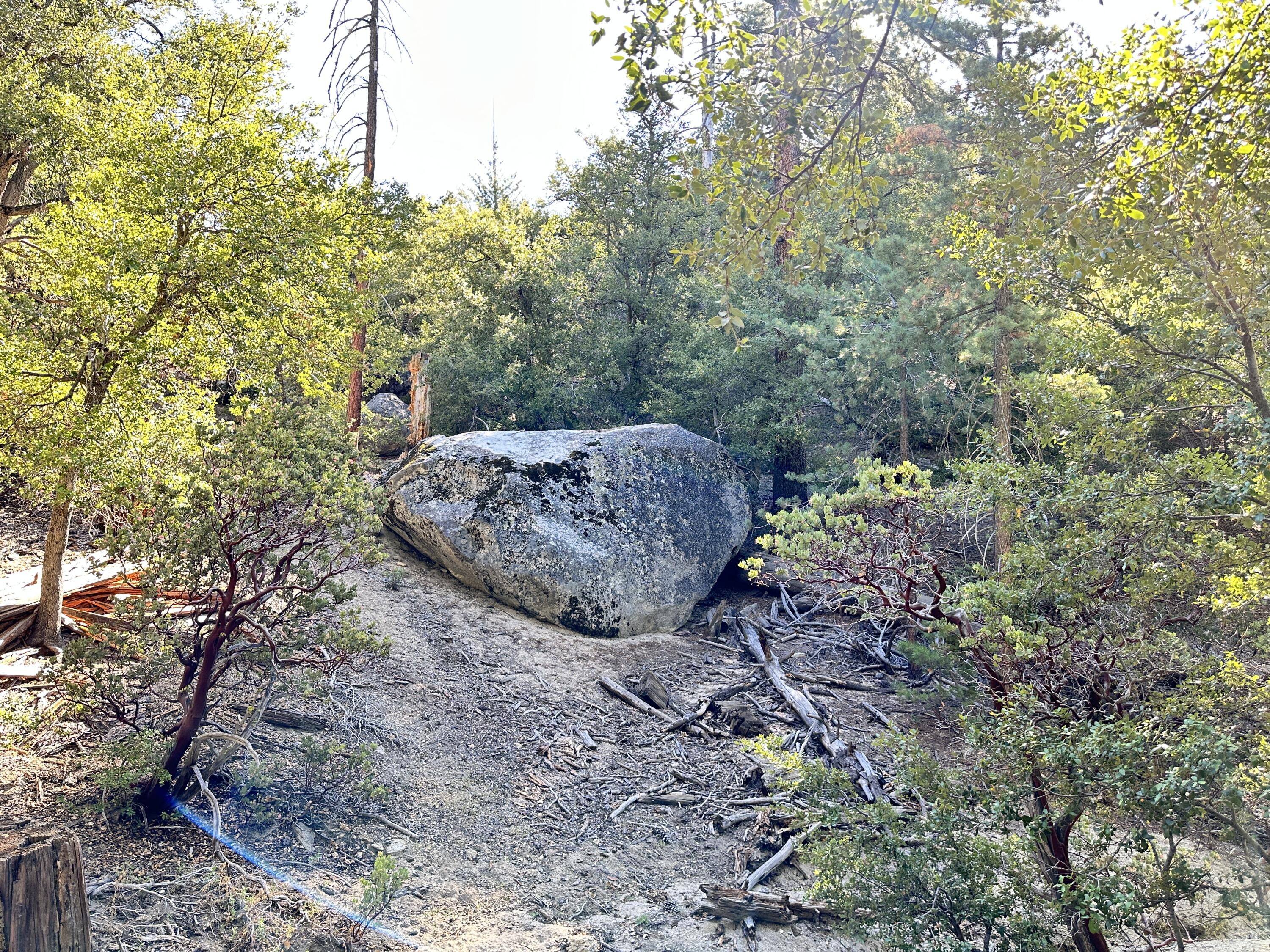 0 Mountain View Drive Idyllwild, CA 92549 - Photo 12 of 17 a view of outdoor space and tree