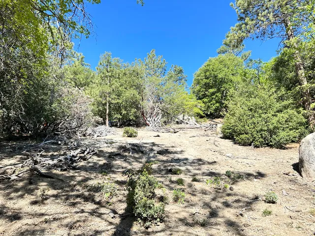 a view of snow on a road