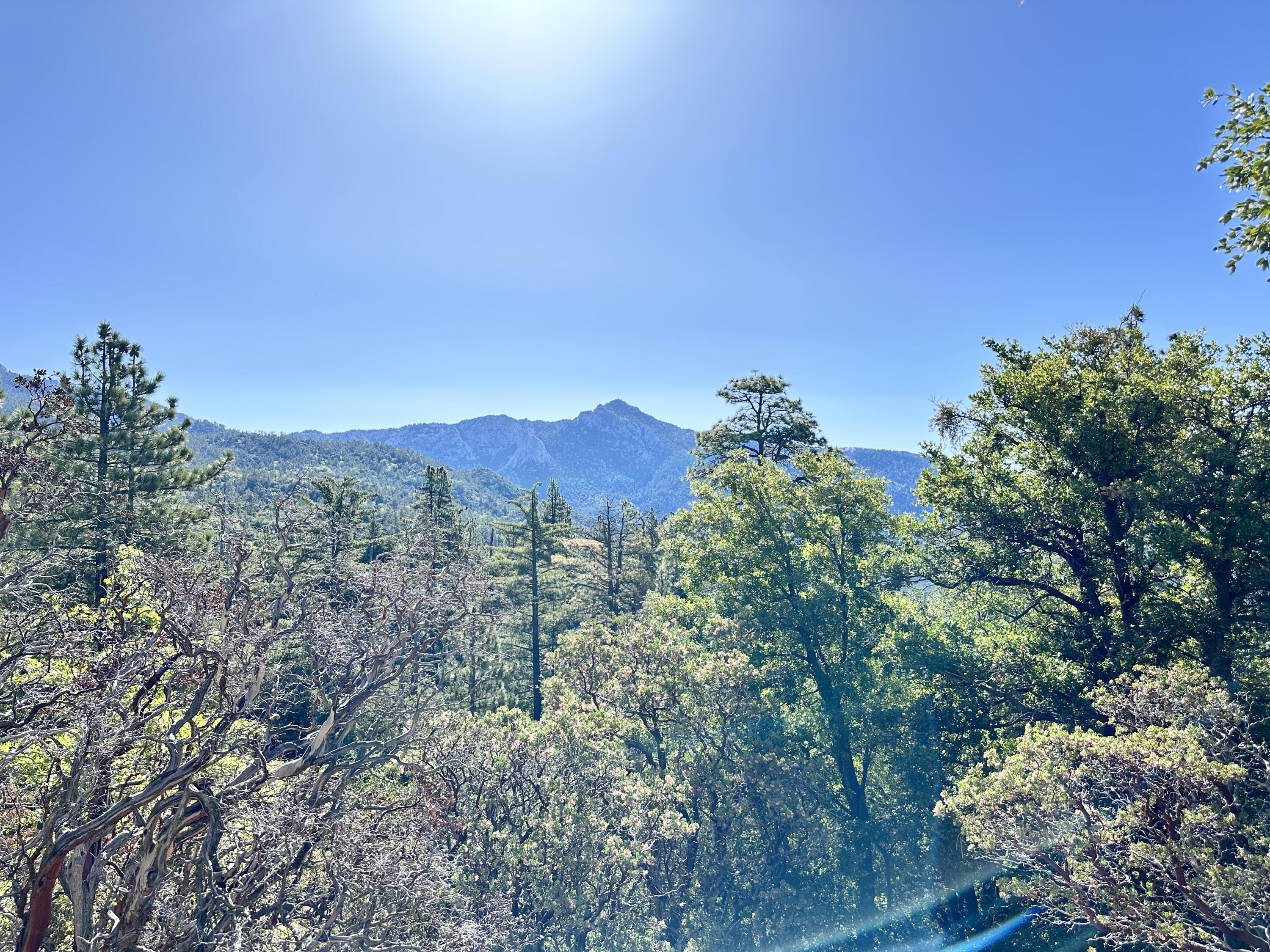 0 Mountain View Drive Idyllwild, CA 92549 - Photo 14 of 17 a view of a city with lush green forest