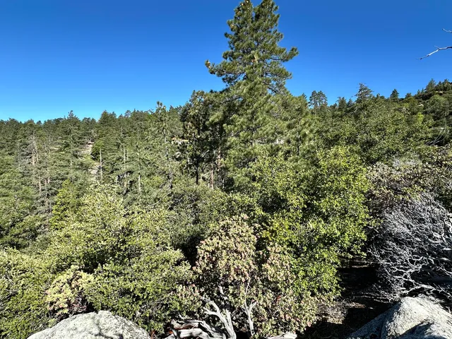 a view of a green field