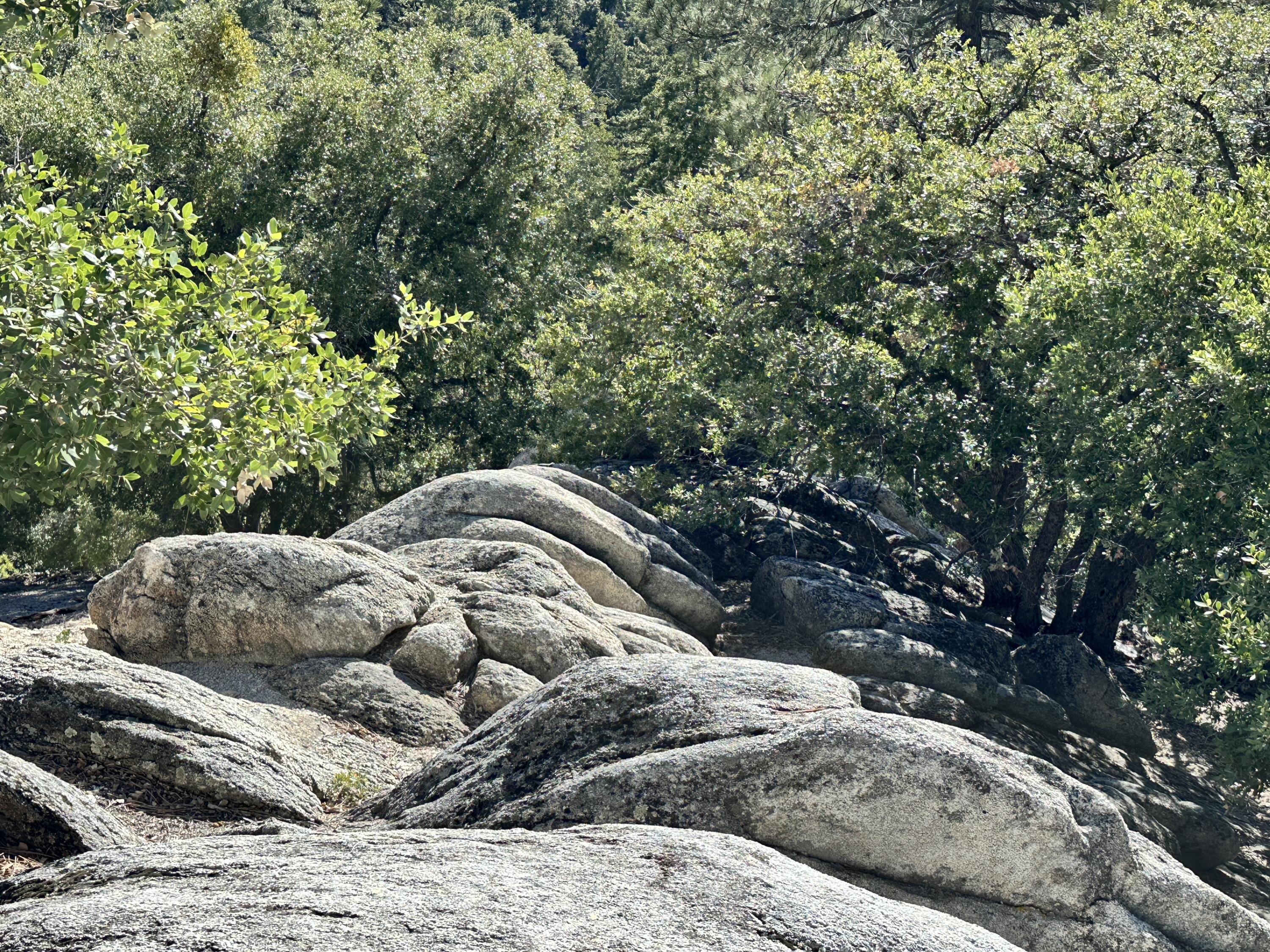 0 Mountain View Drive Idyllwild, CA 92549 - Photo 6 of 17 a view of outdoor space and yard