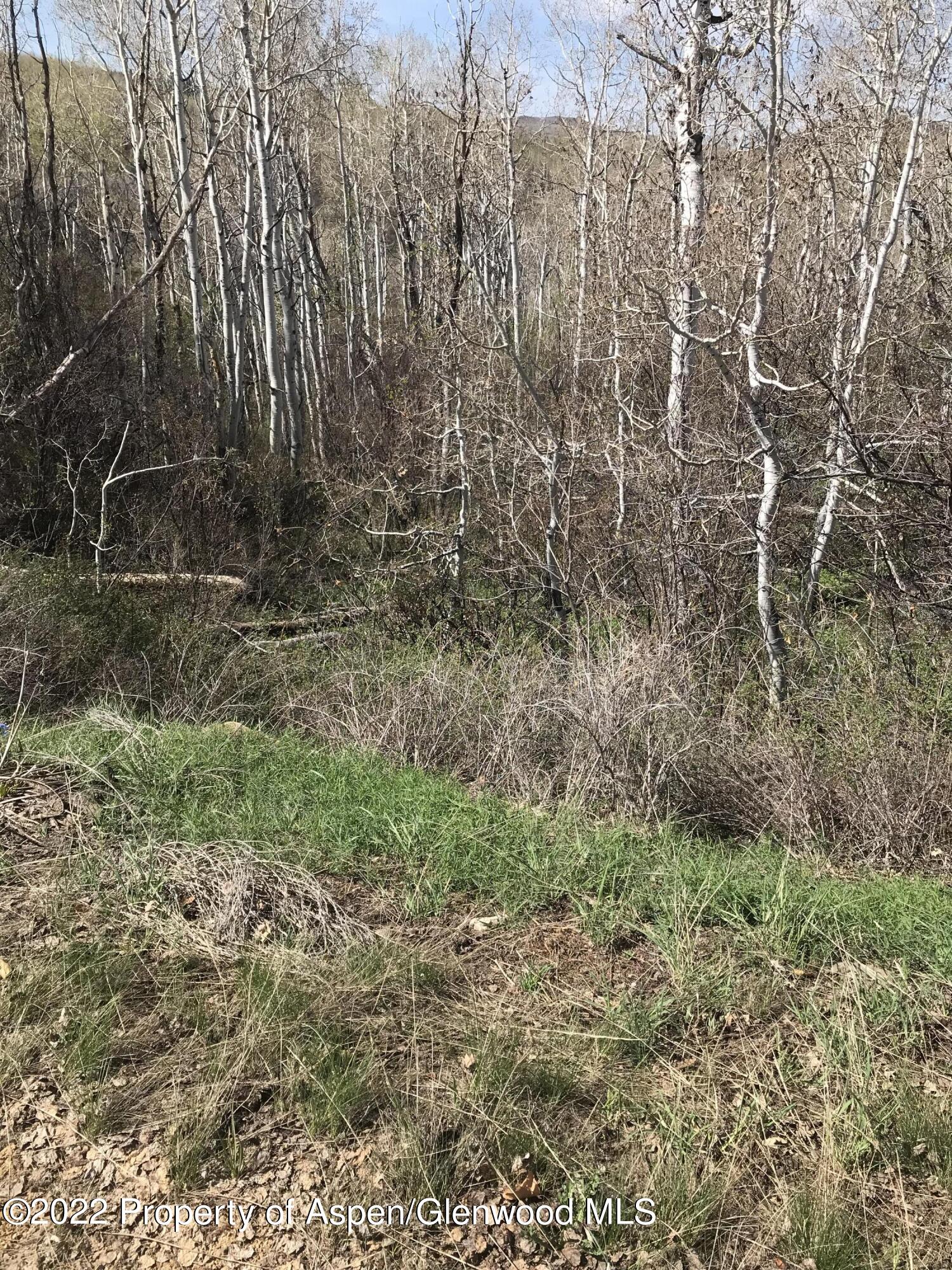 3131 Grackle Road Craig, CO 81625 - Photo 3 of 3 IMG_3733