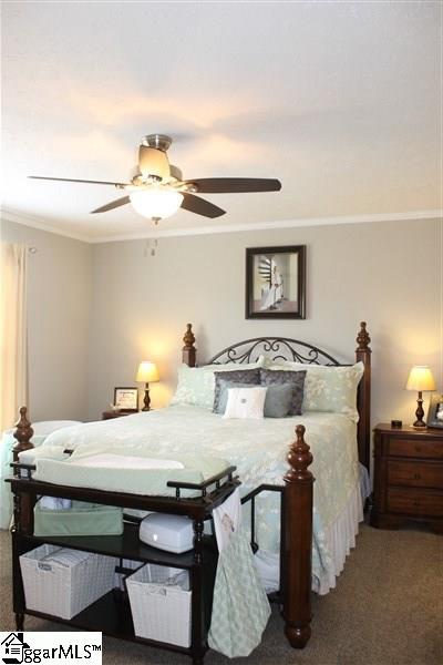 810 Old River Road Piedmont, SC 29673 - Photo 8 of 29