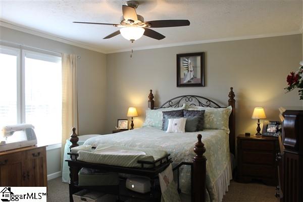 810 Old River Road Piedmont, SC 29673 - Photo 9 of 29