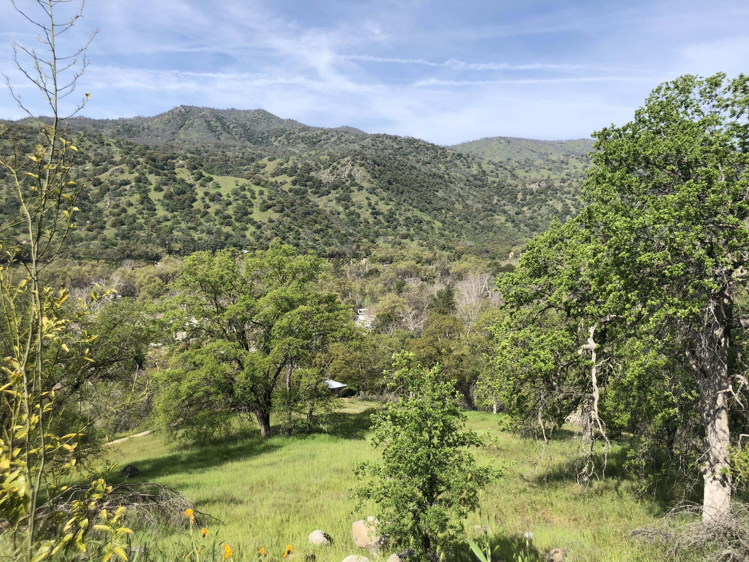 0 North Kaweah River Drive Three Rivers, CA 93271 - Photo 37 of 78 IMG_7888