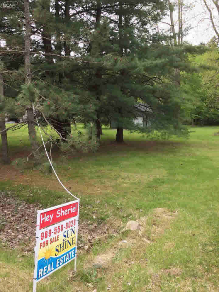 7394 Irish Road Millington, MI 48746 - Photo 1 of 3