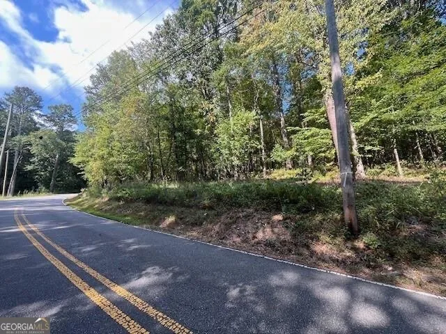 a view of a forest filled with trees