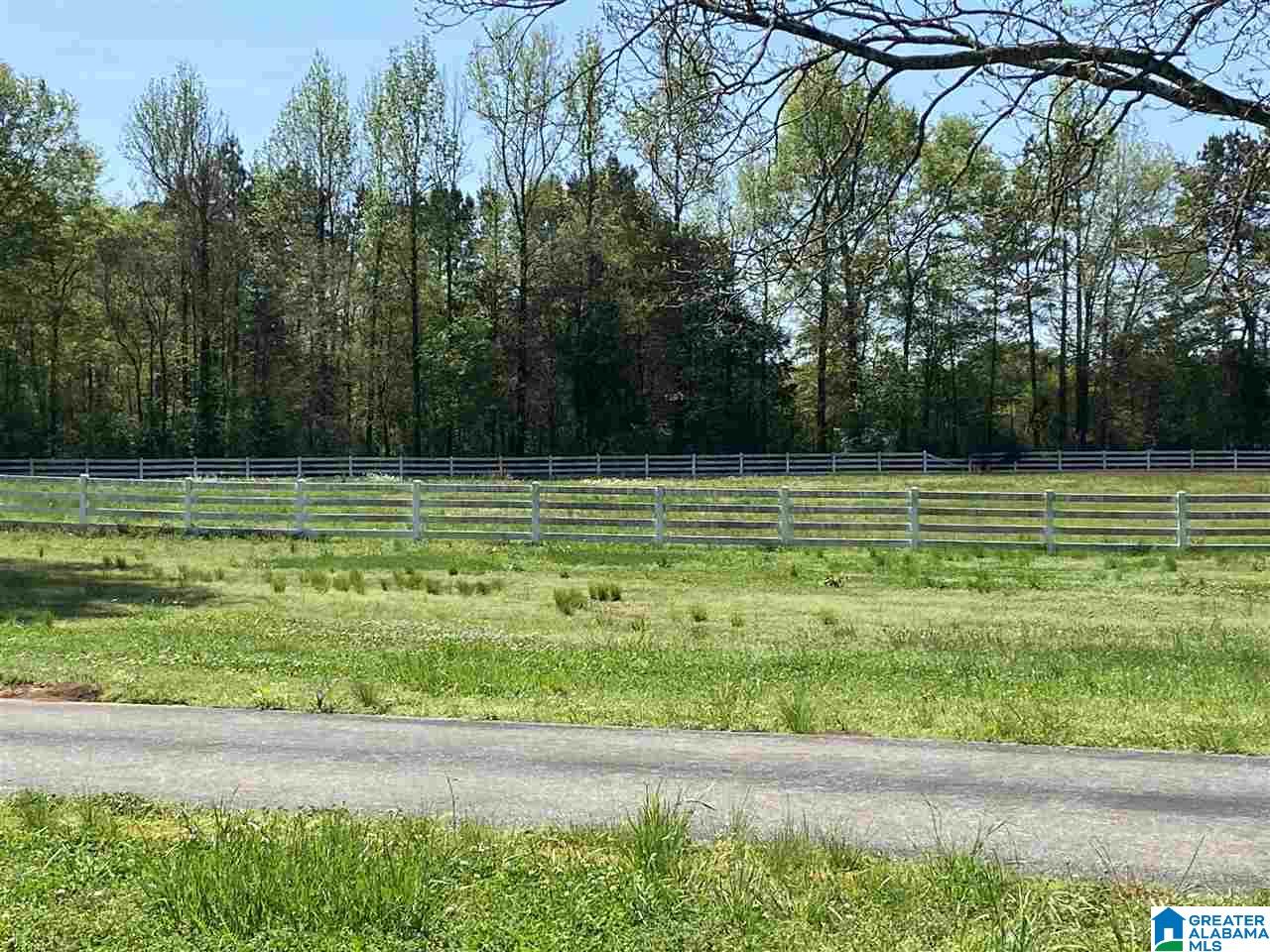 8888 Eastaboga Road Eastaboga, AL 36260 - Photo 27 of 29