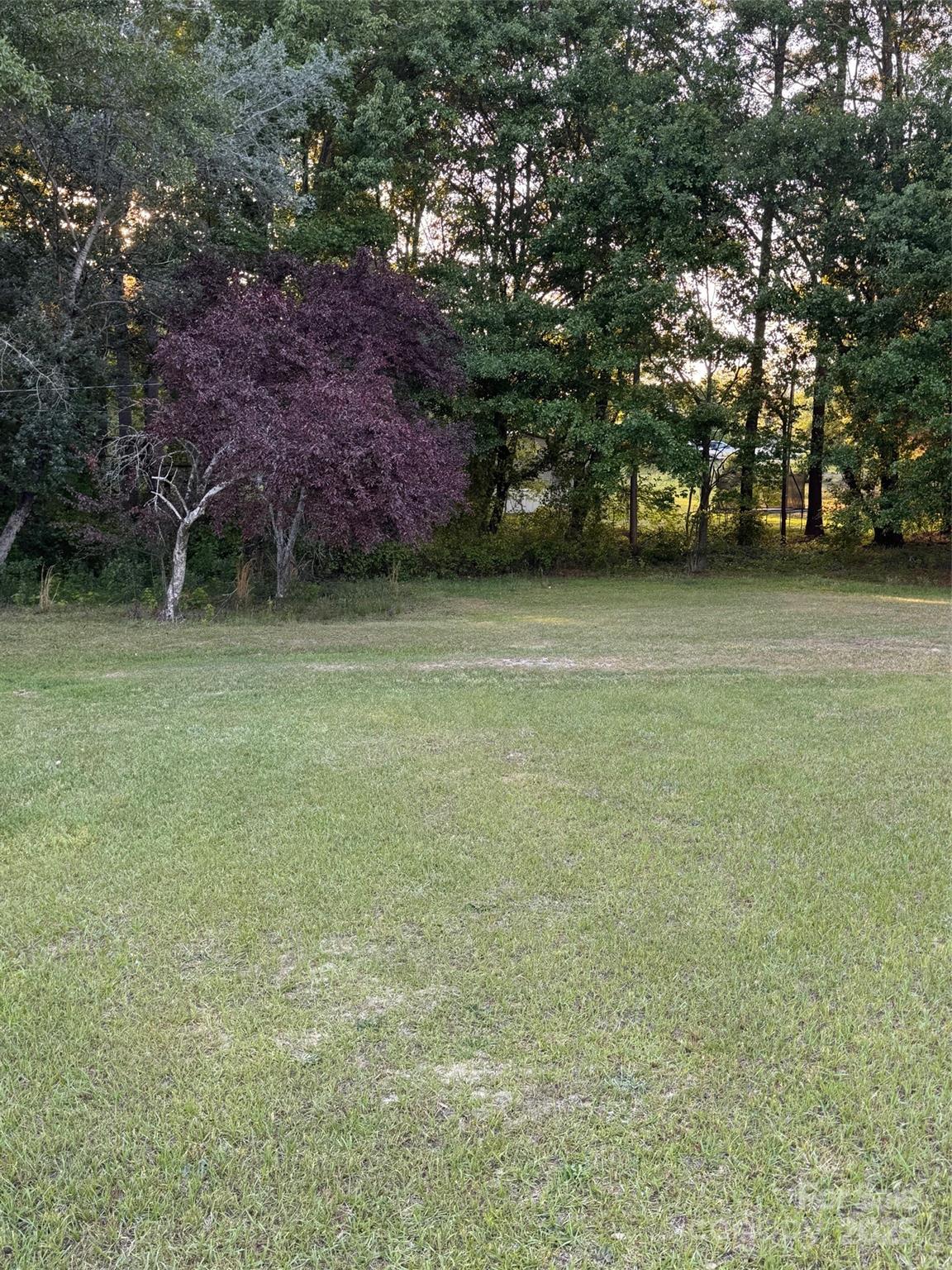 412 Evans Mill Road Pageland, SC 29728 - Photo 3 of 3 Gallery Image 3