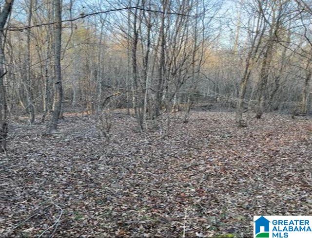 0 Highway 231, Unit 1 Vincent, AL 35178 - Photo 2 of 6