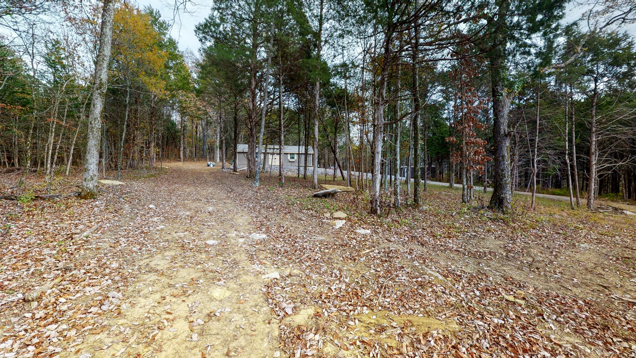453 Berea Church Road Lebanon, TN 37087 - Photo 33 of 43 a backyard of a house with lots of trees