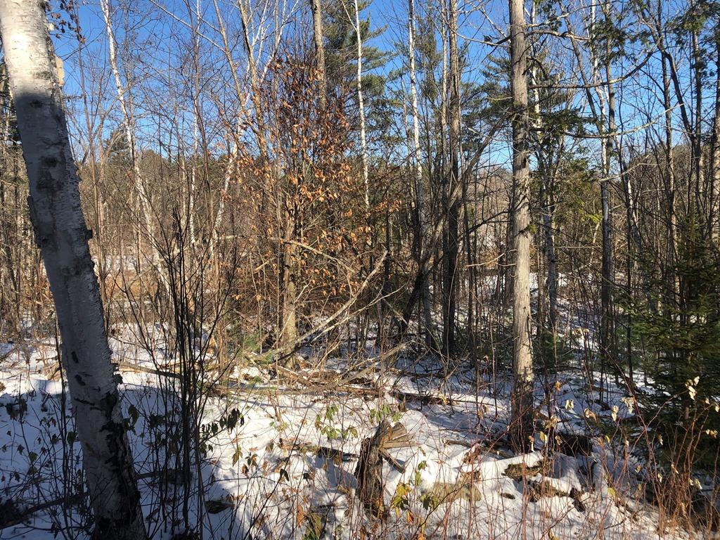 0 Town Farm Road Anson, ME 04911 - Photo 17 of 32 16 lot