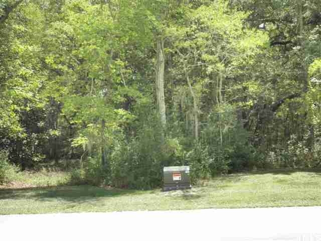 Lot 67 Coosaw Way Ridgeland, SC 29936 - Photo 1 of 3 Primary Photo