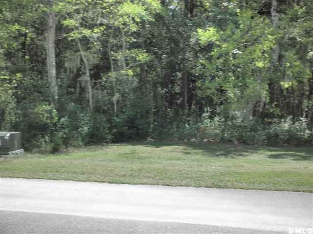 Lot 67 Coosaw Way Ridgeland, SC 29936 - Photo 3 of 3 Additional Photo
