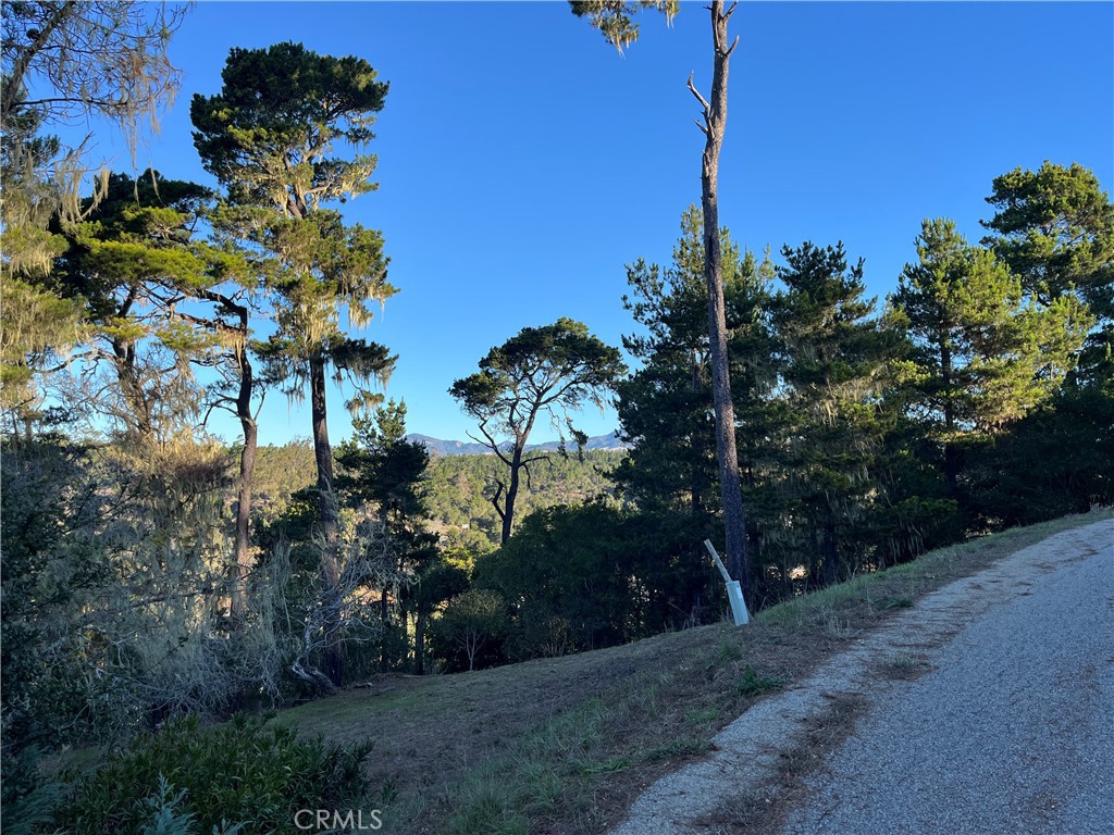 3235 Rogers Road Cambria, CA 93428 - Photo 2 of 13 a backyard of a house with lots of green space