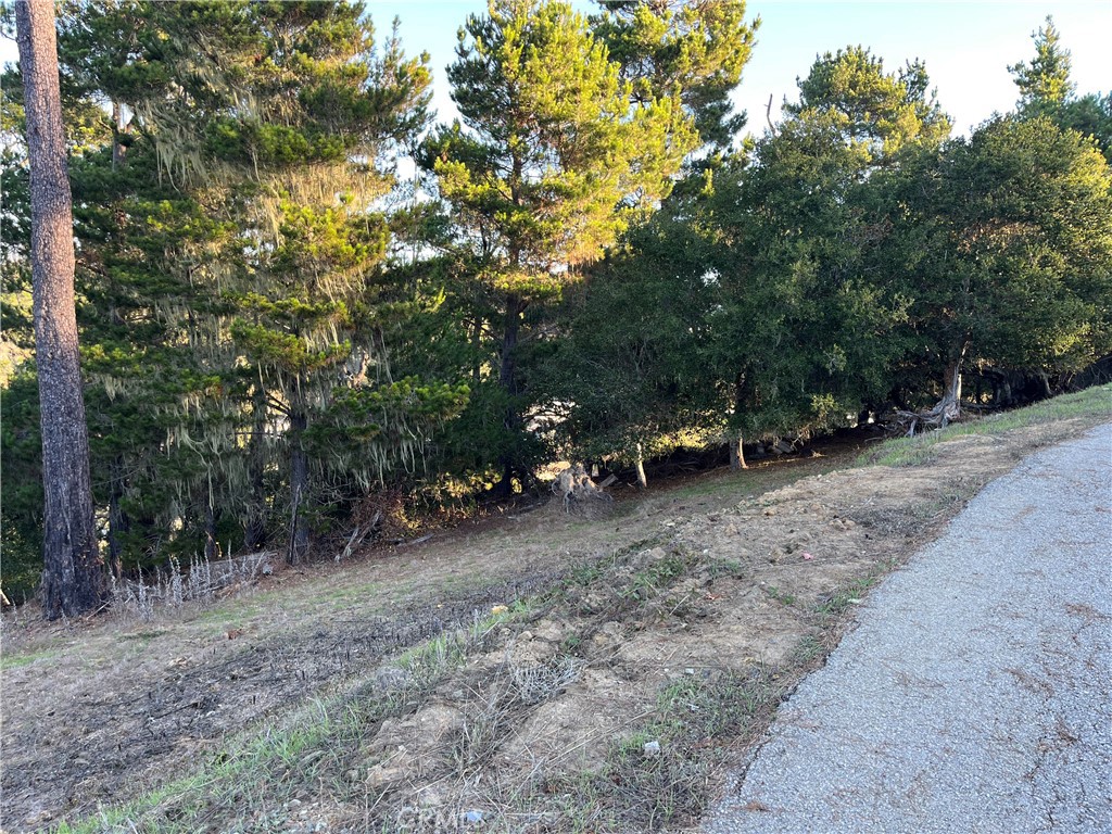 3235 Rogers Road Cambria, CA 93428 - Photo 5 of 13 a view of road with trees