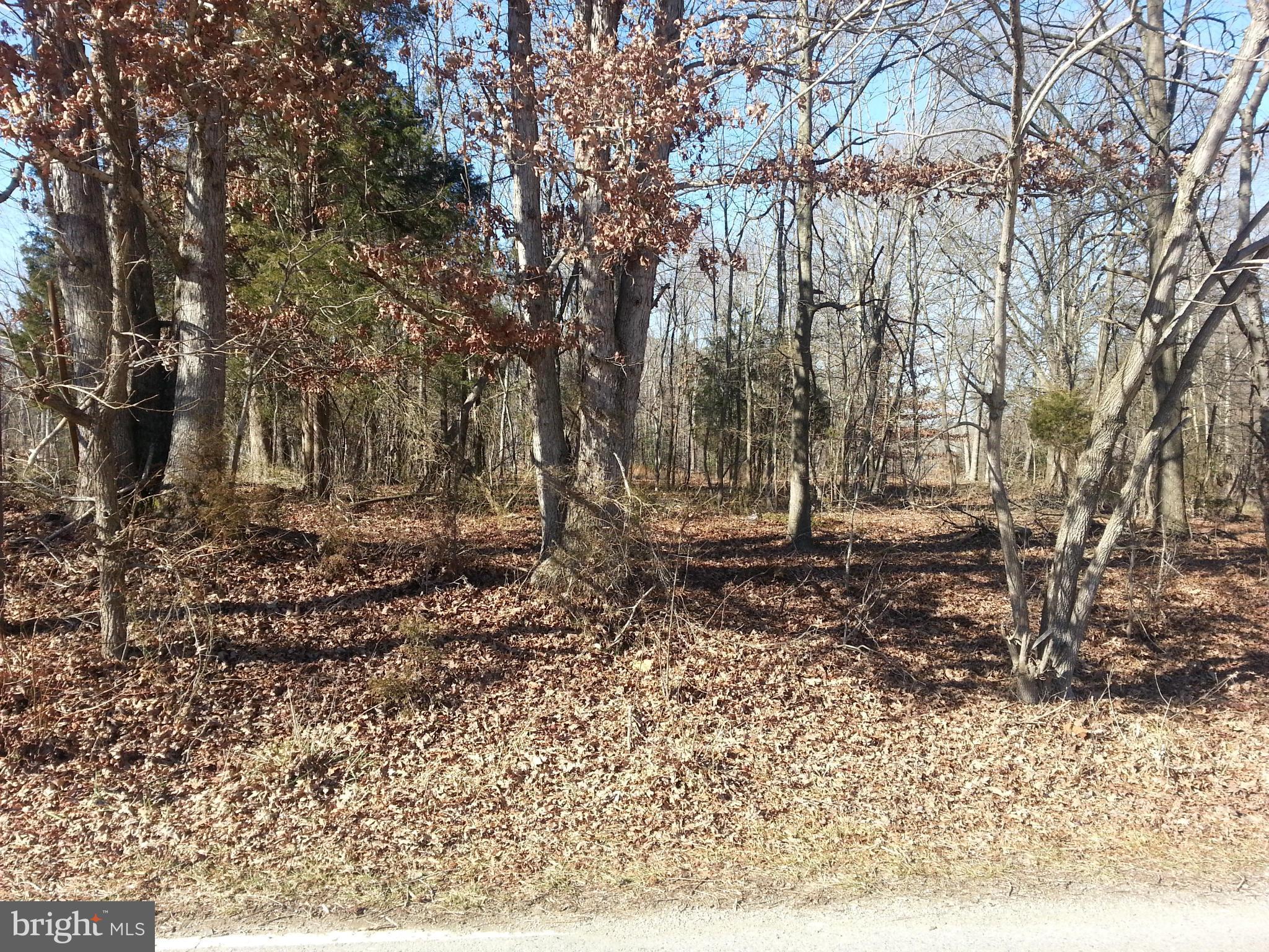 Livingston Accokeek, MD 20607 - Photo 2 of 2 a backyard of a house with lots of green space