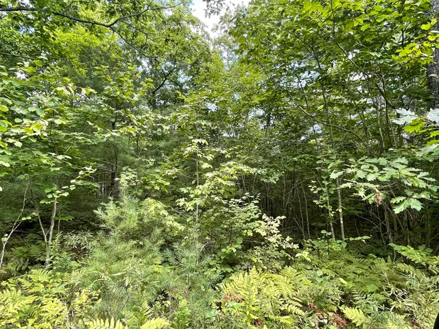 $59,900 | Lot 68-11 Shore Road, Bremen, ME 04551