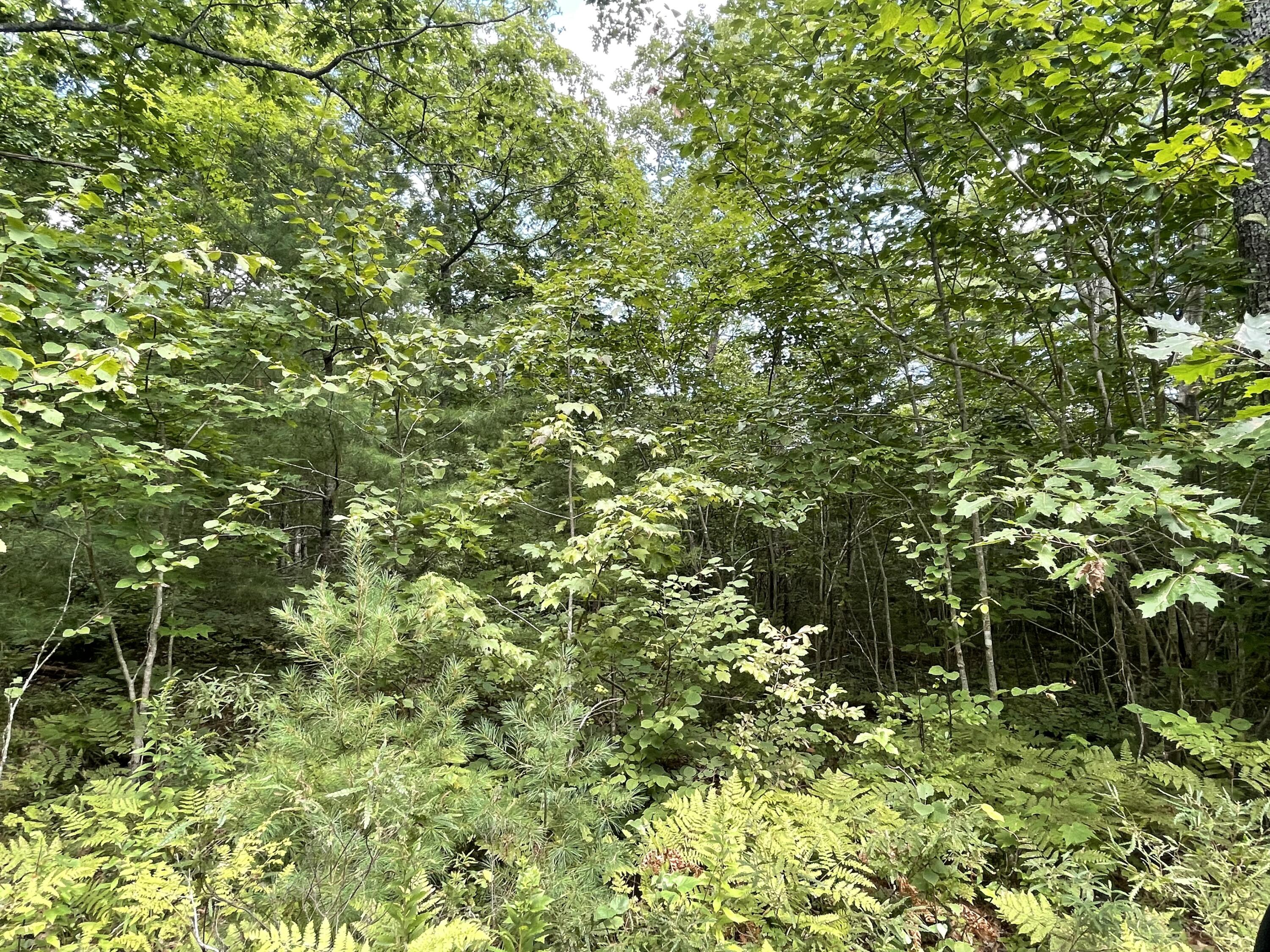 Lot 68-11 Shore Road Bremen, ME 04551 - Photo 12 of 12 IMG_9597