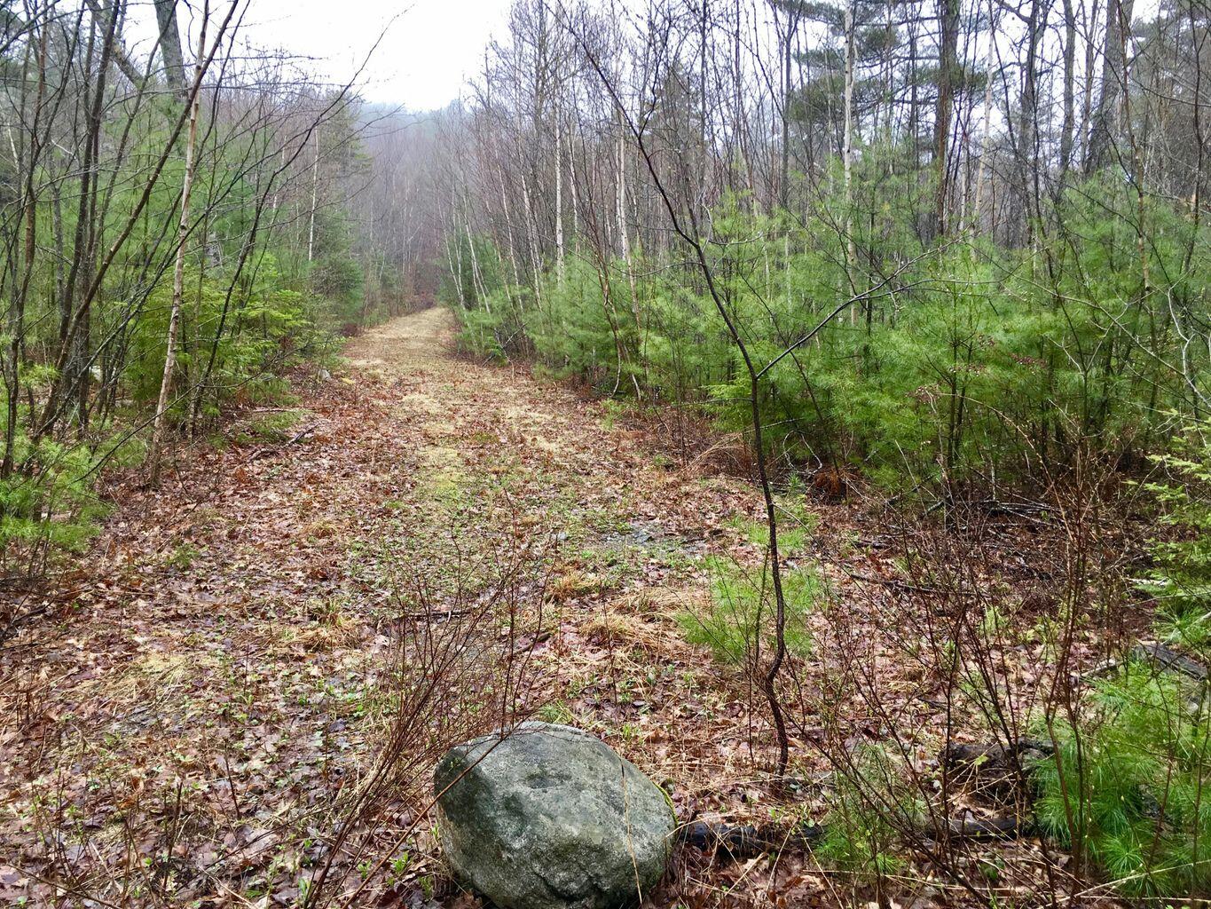 Lot 68-11 Shore Road Bremen, ME 04551 - Photo 6 of 12 20240127223756636265000000-o