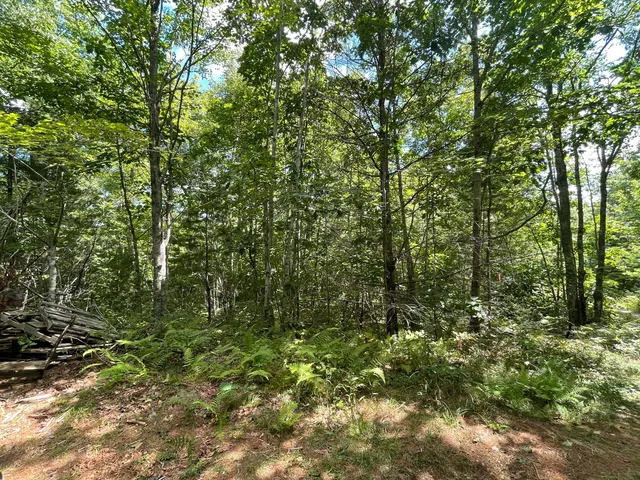 $59,900 | Lot 68-11 Shore Road, Bremen, ME 04551