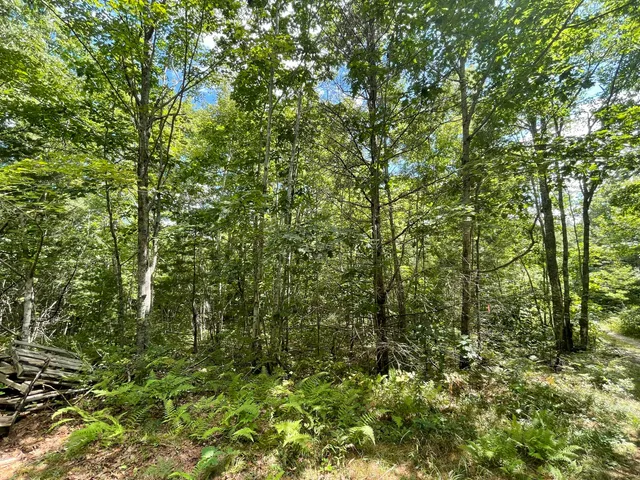 $59,900 | Lot 68-11 Shore Road, Bremen, ME 04551