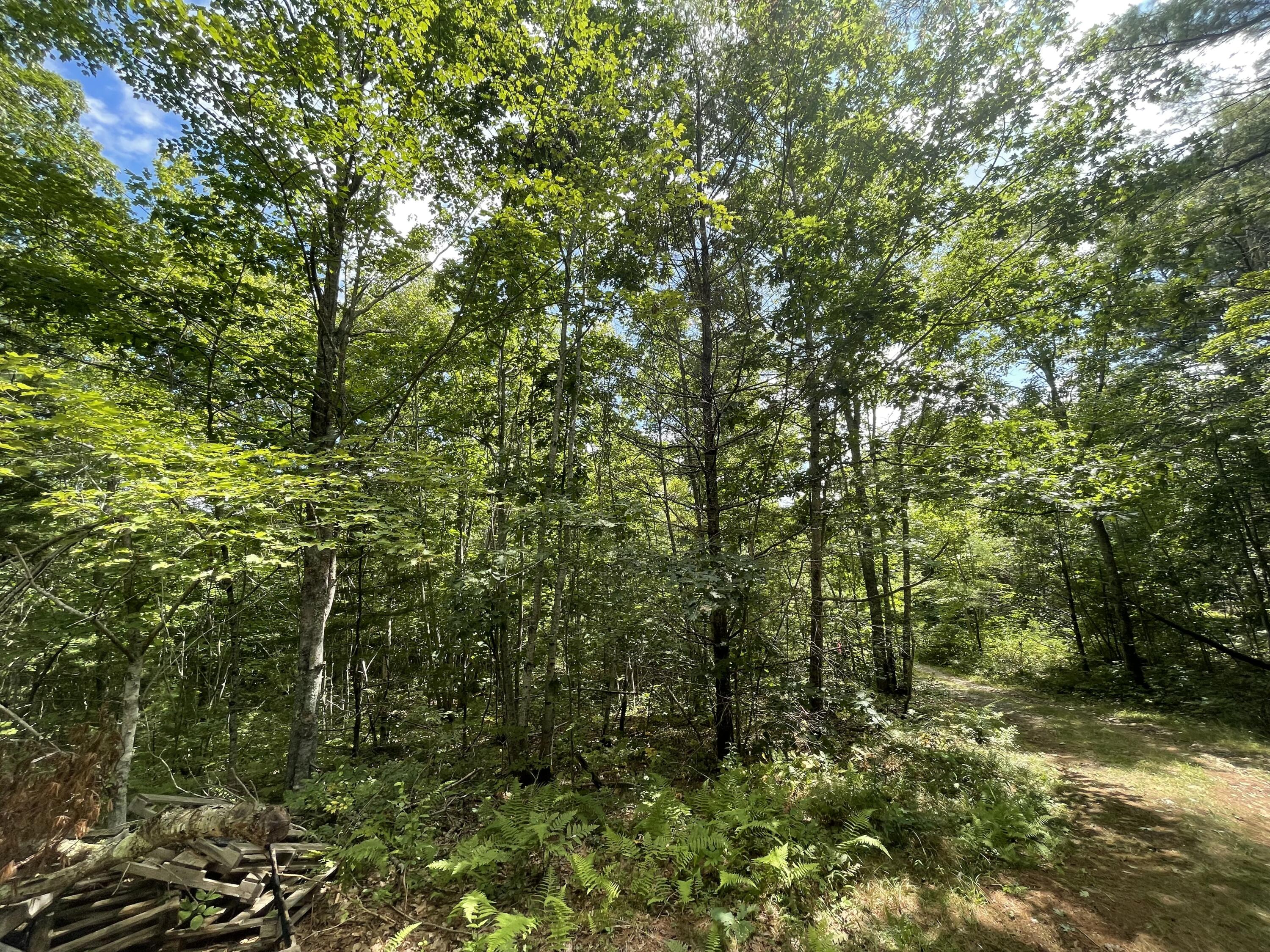 Lot 68-11 Shore Road Bremen, ME 04551 - Photo 9 of 12 IMG_9588