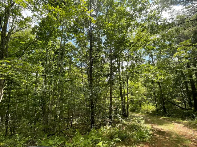 $59,900 | Lot 68-11 Shore Road, Bremen, ME 04551