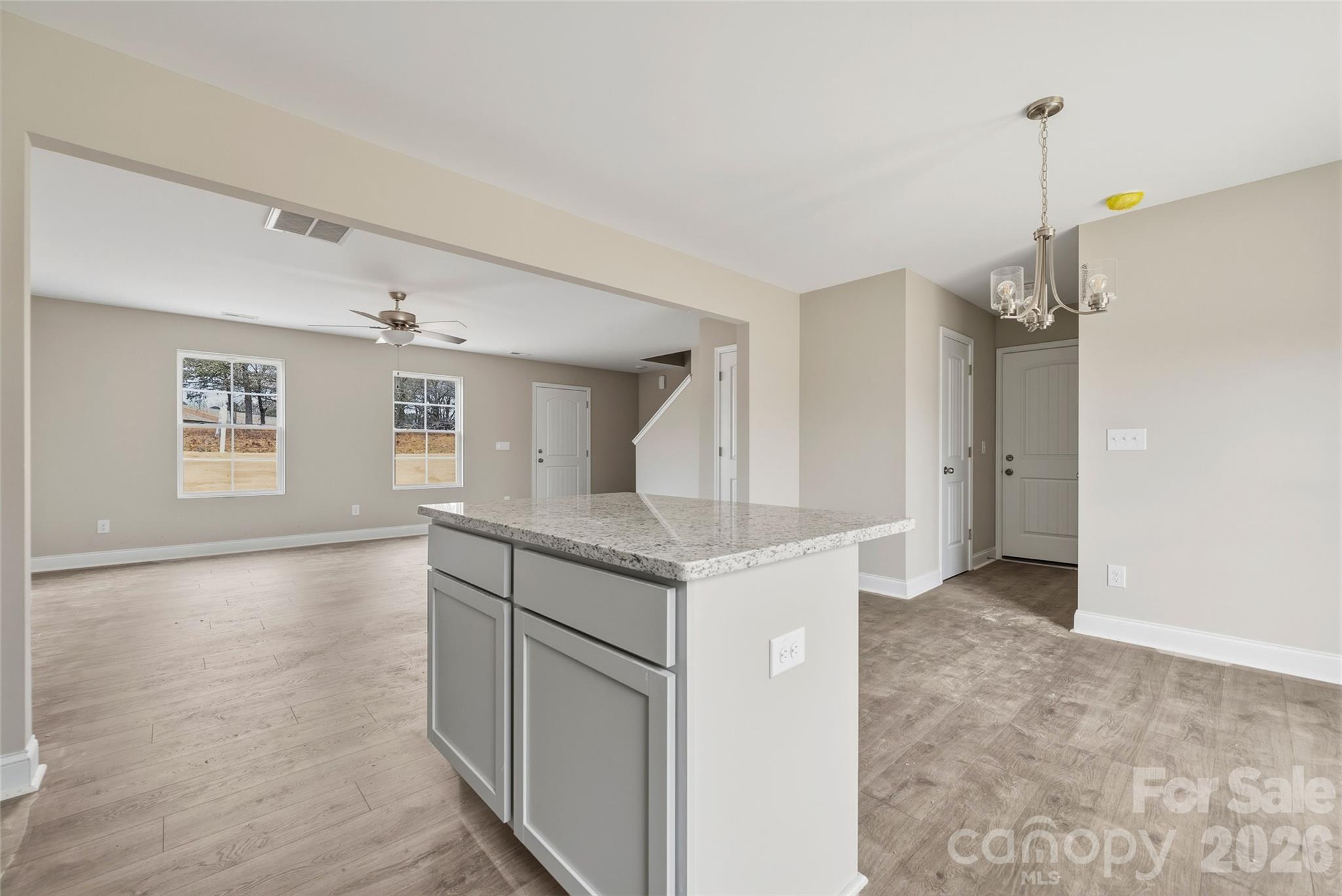 171 Yellow Branch Road Pageland, SC 29728 - Photo 8 of 24