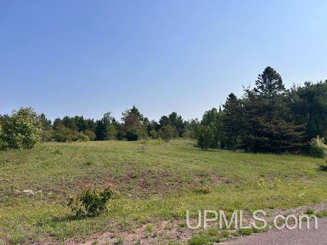 13408 West Jackola ( Road Atlantic Mine, MI 49905 - Photo 2 of 21