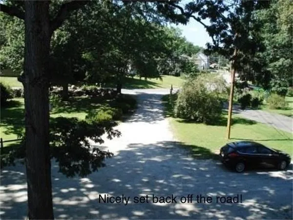 a view of a yard with plants