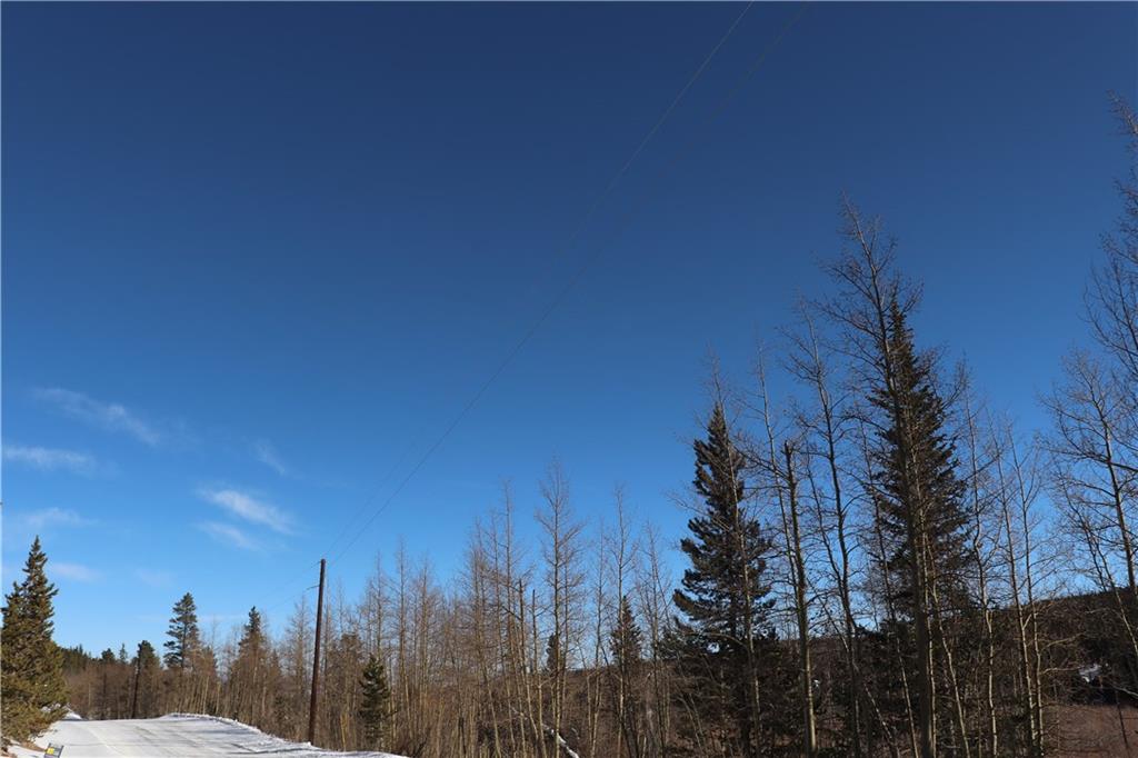 3295 Nugget Road Fairplay, CO 80440 - Photo 2 of 9 Gallery Image 2