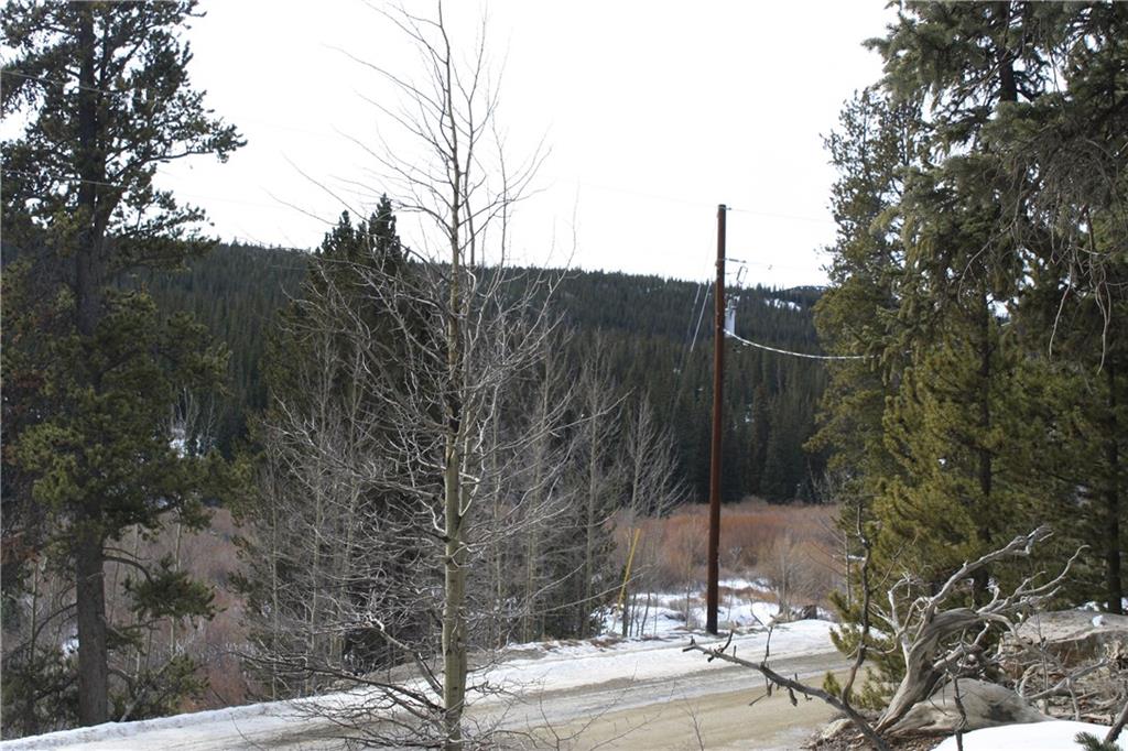 3295 Nugget Road Fairplay, CO 80440 - Photo 3 of 9 Gallery Image 3