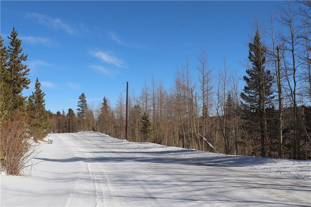 3295 Nugget Road Fairplay, CO 80440 - Photo 6 of 9 Gallery Image 6