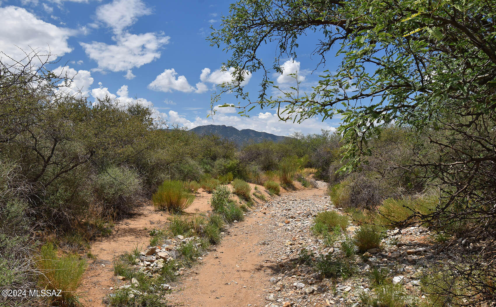 14-ac West Pearce Road, Unit 10 Cochise, AZ 85606 - Photo 2 of 20