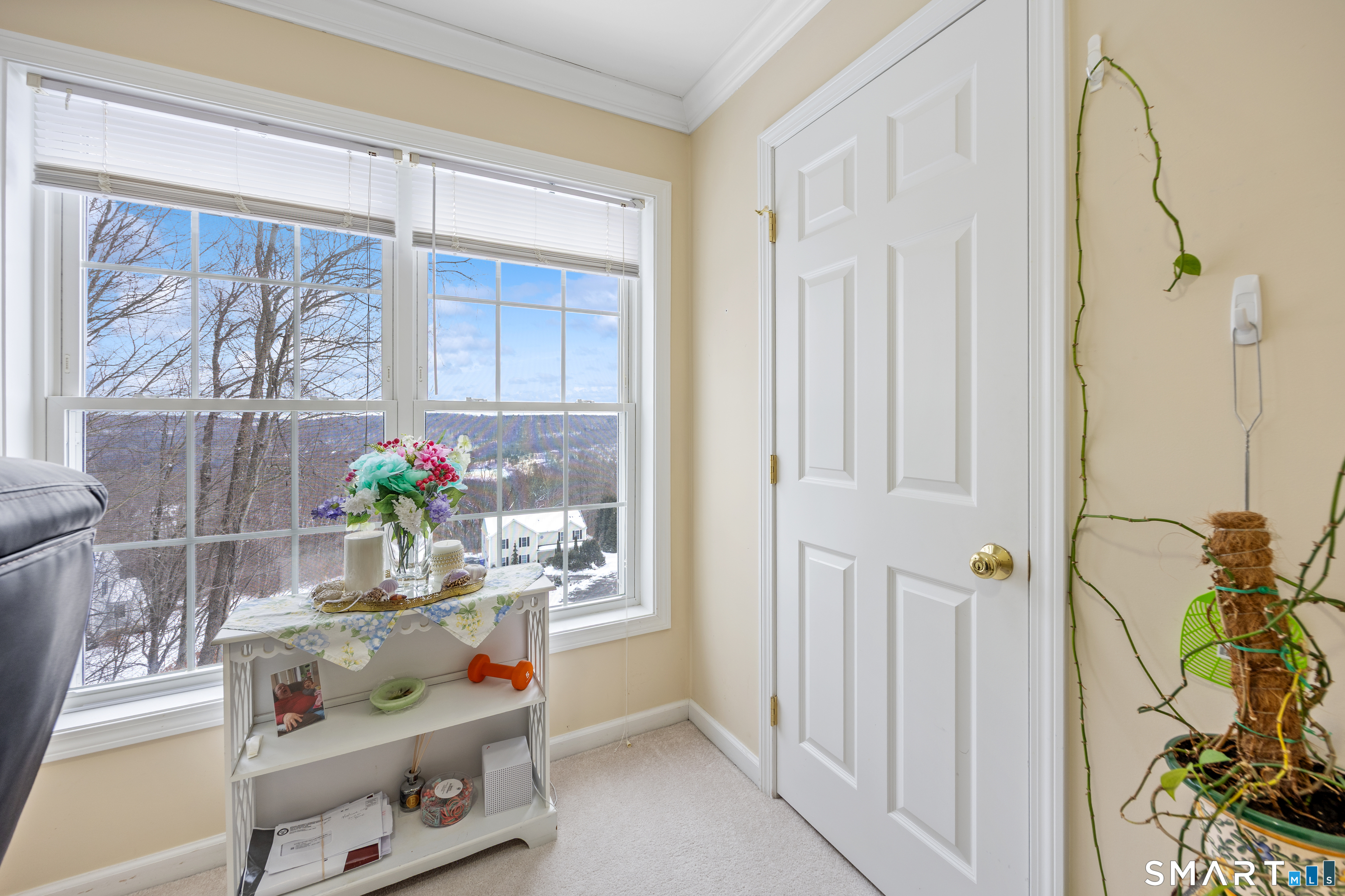 3 Ellen Lane Thomaston, CT 06787 - Photo 29 of 40 a room with painting and a potted plant